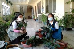 241202605_585331416163170_4220012912142279297_n